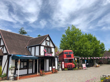 Load image into Gallery viewer, 9月21日 - 9月23日|AMEIRO: Niji Camp Music Festival 2024