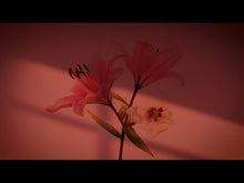 Load and play video in Gallery viewer, 11月3日|Live at Shimokita Breath with Maia Barouh (マイア・バルー), ISAFAT, RYO (DJ)