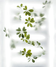 Load image into Gallery viewer, 8月27日|MTM Presents: Art + Music