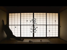 Load and play video in Gallery viewer, 2月15日|MTM Presents : Stay Wild Moon Child