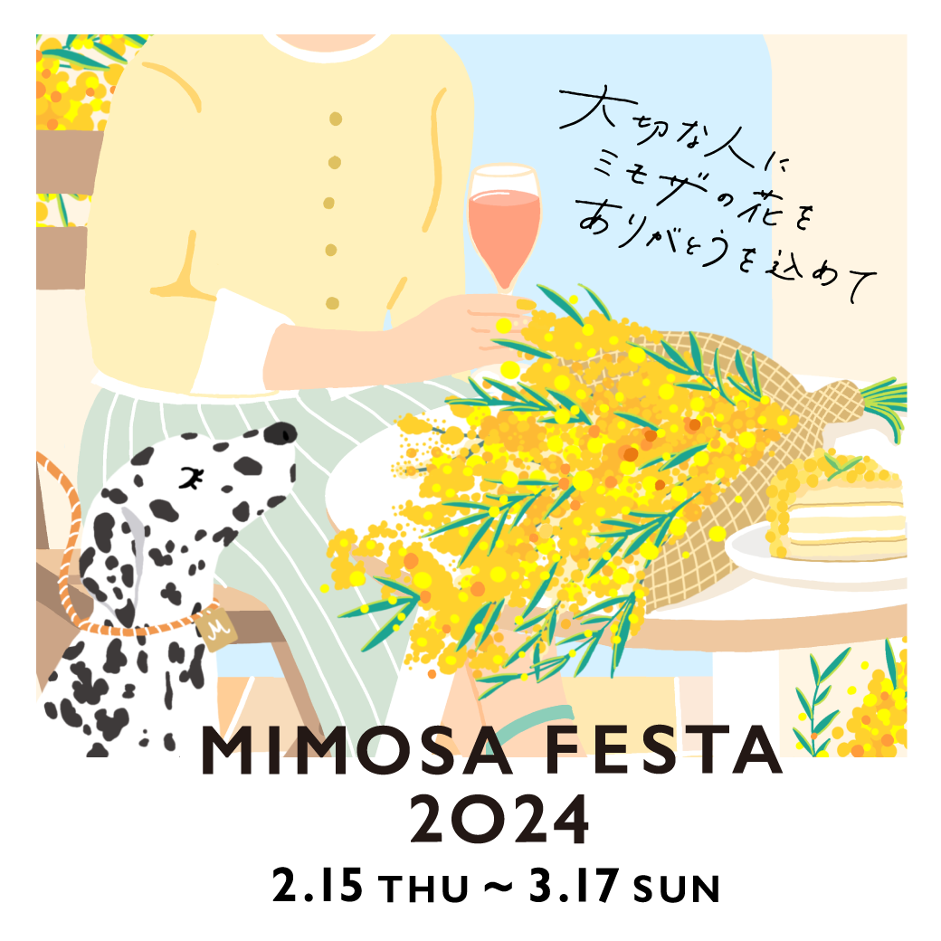 3月2日｜MTM Pick-up: MIMOSA FESTA 2024 [FREE EVENT]
