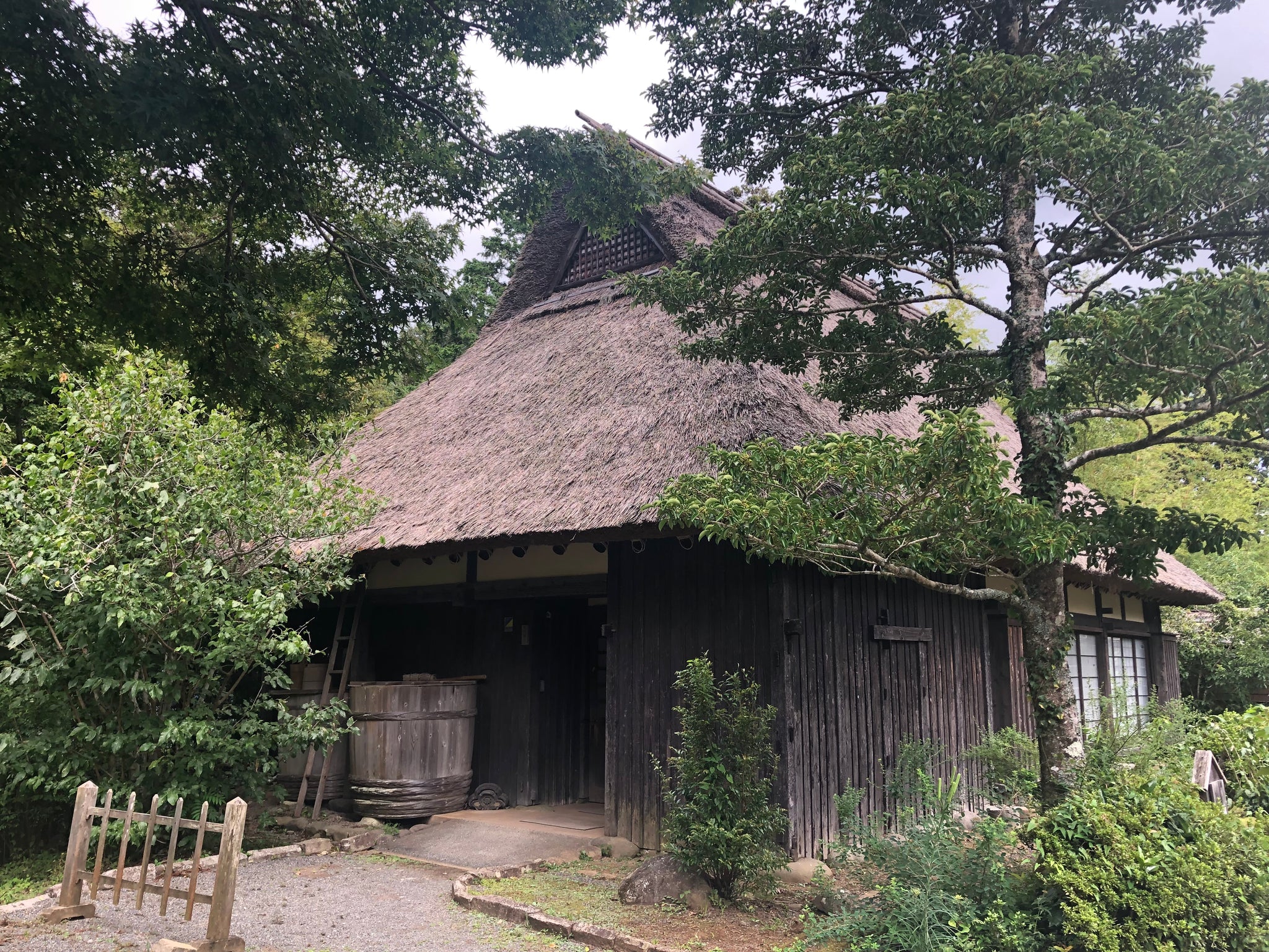 9月21日 - 9月23日|AMEIRO: Niji Camp Music Festival 2024 9月21日 - 9月23日|AMEIRO: Niji Camp Music Festival 2024